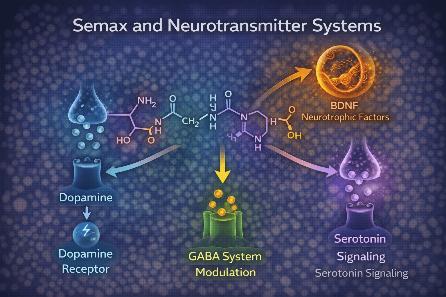 Semax neurotransmitter pathway diagram